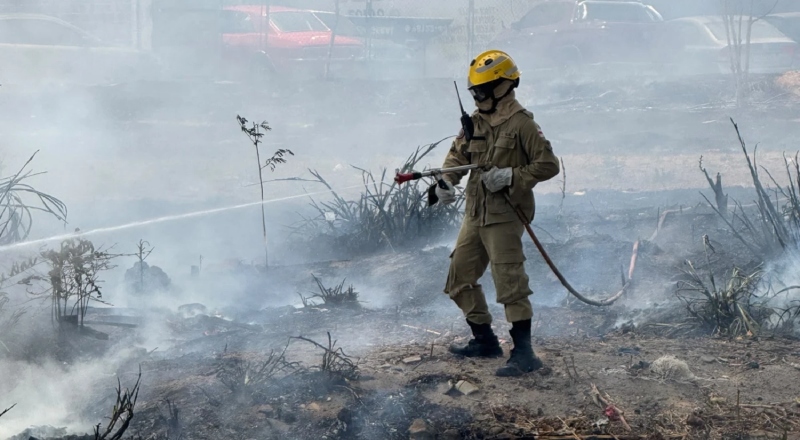 Incêndio de grandes proporções assusta moradores e toma área de mata na zona Leste de Manaus