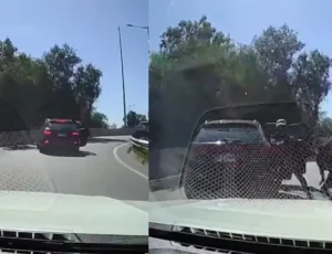 "Strike!": mulher passa por cima de bandidos que queriam assaltá-la no viaduto; veja vídeo