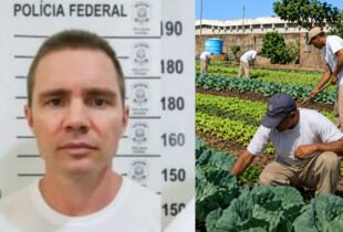Do Luxo ao campo: Daniel Vorcaro cultiva hortas na "Papudinha" para reduzir pena
