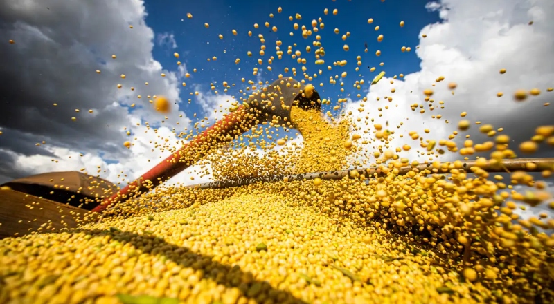 Agricultura brasileira bate recorde e produção chega a 345,4 milhões de toneladas em 2025