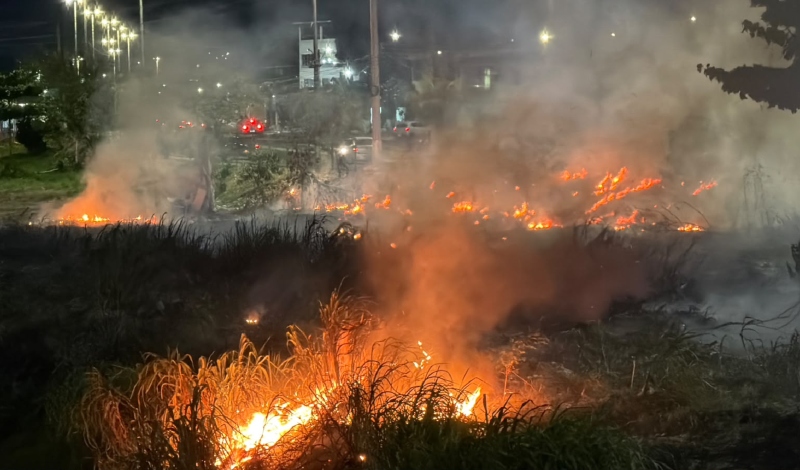 Urgente: incêndio de grandes proporções atinge área de vegetação em Manaus; veja vídeo
