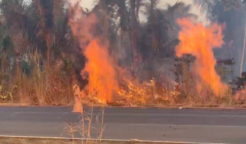 Incêndio de grandes proporções atinge área de mata e fumaça avança em direção a Manaus