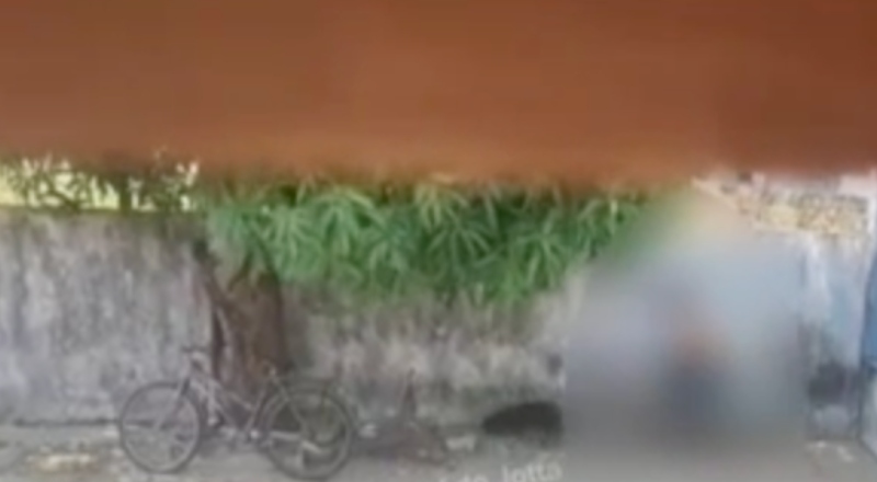 Homem é preso em flagrante por maus-tratos contra cachorro em Itacoatiara