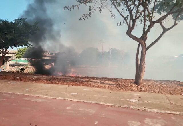 Incêndio em área de vegetação assusta motoristas no Morro da Liberdade; veja vídeo