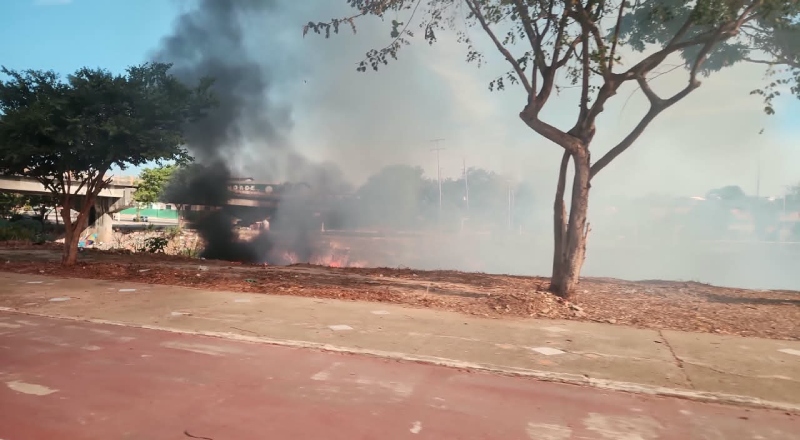 Incêndio em área de vegetação assusta motoristas no Morro da Liberdade; veja vídeo