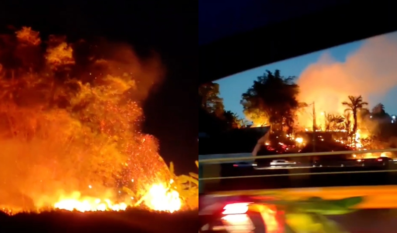 Fogo em mata assusta moradores e deixa área próxima ao Delphina Aziz sem energia; veja vídeo
