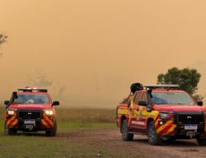 Produção de carvão pode ter provocado incêndio de grandes proporções em área de vegetação em Iranduba; vídeo