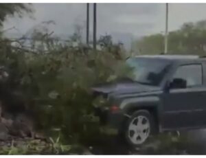 Vídeo chocante: jornalista e cinegrafista são atropelados ao vivo durante transmissão no México; veja vídeo