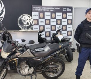 Guarda Municipal de Manaus atua em ocorrências com prisão, apreensão de motocicletas e resgate de animais