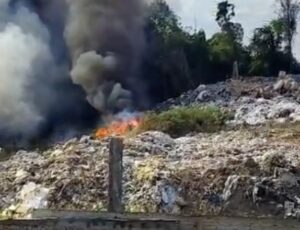 Incêndio de grandes proporções em área de vegetação assusta moradores de Manaus