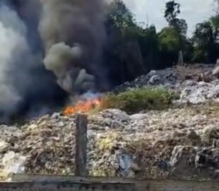 Incêndio de grandes proporções em área de vegetação assusta moradores de Manaus
