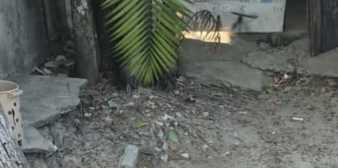 Revoltante: cachorro é resgatado sem água e comida, e outro é encontrado m0rto em Manaus; cenas fortes
