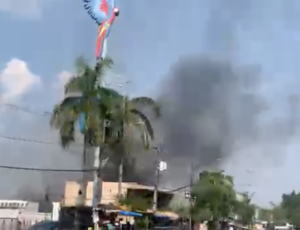 Urgente: incêndio atinge área verde no bairro Nova Cidade; veja vídeo