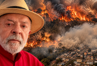 Milagre eleitoral: depois de ver o Amazonas virar cinzas, Lula finalmente lembra que a floresta precisa de ajuda; veja vídeo