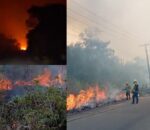 Autazes sufoca queimando dia e noite, indígenas pedem socorro e prefeito Thomé Neto, aliado de Roberto Cidade, de braços cruzados; vídeos