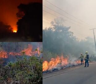 Autazes sufoca queimando dia e noite, indígenas pedem socorro e prefeito Thomé Neto, aliado de Roberto Cidade, de braços cruzados; vídeos