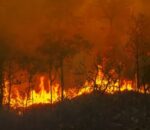 Amazonas solicita reforço de São Paulo para combater incêndios florestais