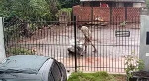 Agressor tenta ent3rrar a própria esposa ainda viva dentro de saco de cal