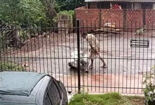 Agressor tenta ent3rrar a própria esposa ainda viva dentro de saco de cal