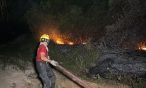 Incêndio de grandes proporções atinge área de mata ao lado de supermercado no Novo Aleixo, em Manaus