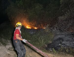 Incêndio de grandes proporções atinge área de mata ao lado de supermercado no Novo Aleixo, em Manaus