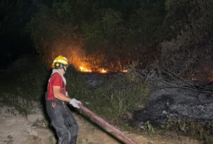 Incêndio de grandes proporções atinge área de mata ao lado de supermercado no Novo Aleixo, em Manaus
