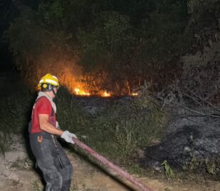 Incêndio de grandes proporções atinge área de mata ao lado de supermercado no Novo Aleixo, em Manaus