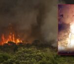 Governo do Amazonas decreta estado de emergência em 36 municípios sufocados pelas queimadas e seca