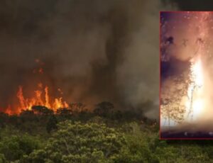 Governo do Amazonas decreta estado de emergência em 36 municípios sufocados pelas queimadas e seca