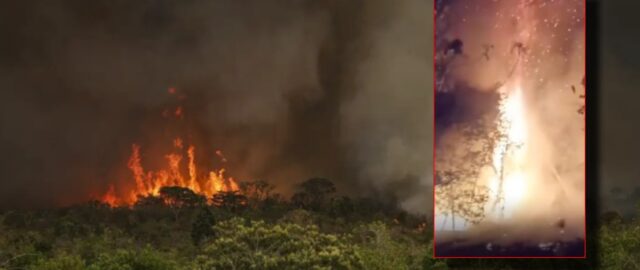 Governo do Amazonas decreta estado de emergência em 36 municípios sufocados pelas queimadas e seca