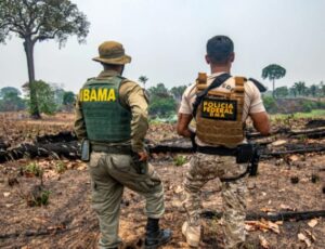 Amazonas fecha o cerco contra incêndios crimin0sos e responsáveis podem ser presos e multados