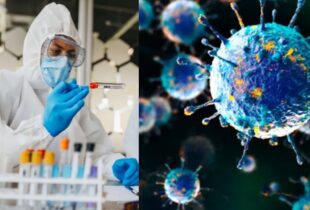 Grave: França registra a 1ª infecção humana no mundo pelo vírus Shamonda