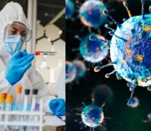 Grave: França registra a 1ª infecção humana no mundo pelo vírus Shamonda