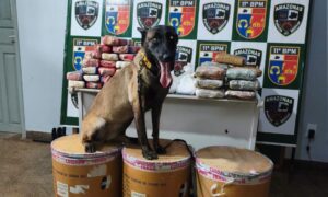 Polícia apreende mais de 72 kg de drogas escondidas em balsa em Parintins e causa prejuízo milionário ao tráfico; veja vídeo