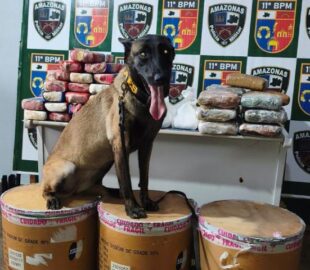 Polícia apreende mais de 72 kg de drogas escondidas em balsa em Parintins e causa prejuízo milionário ao tráfico; veja vídeo
