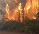 Incêndio se alastra em Autazes e deixa moradores em desespero; veja vídeo