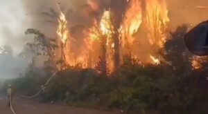 Incêndio se alastra em Autazes e deixa moradores em desespero; veja vídeo
